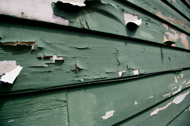 How To Choose The Right Materials for Your Siding Installation in 'Brandon, FL